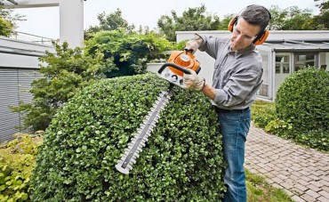 Non vuoi acquistare le attrezzature da giardino? Puoi noleggiarle da noi! 