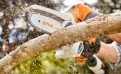 Motoseghe: scopri la nostra selezione di prodotti per il tuo giardinaggio 